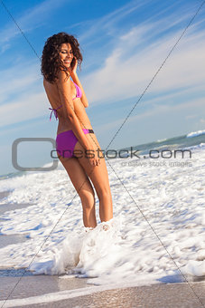 Rear View Beautiful Bikini Woman At Beach