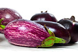 Different varieties of eggplant 