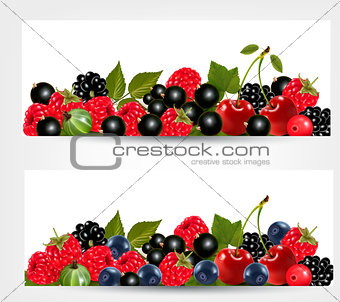 Two banners with delicious ripe berries. Vector. 