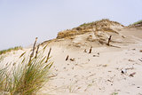Dunes in foggy weather in  Leba, Poland.