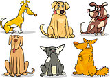 cute dogs set cartoon illustration