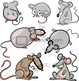 mice and rats set cartoon illustration