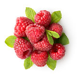 Sweet raspberry with green leaves