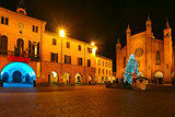 Christmas tree on central square. Alba, Italy.