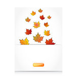 Fall maple leaves, autumn background