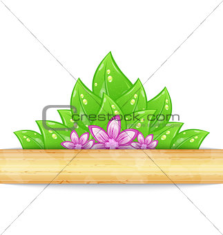 Eco friendly background with green leaves, flower, wooden textur