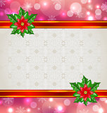 Christmas elegant card with flower poinsettia