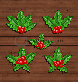 Christmas set holly berry branches on wooden background
