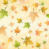 autumn leaves over old paper retro background