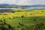 Fields and meadows of Germany.