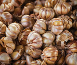 Garlic at market close up