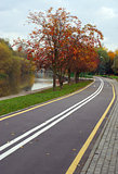 Autumn cityscape with rowan and bicycle path