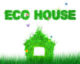 eco house