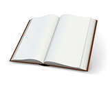 Blank pages of open books spread