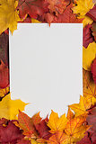 white sheet of paper on yellow autumn leaves