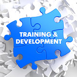 Training and Development. Educational Concept.
