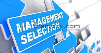 Management Selection. Business Background.