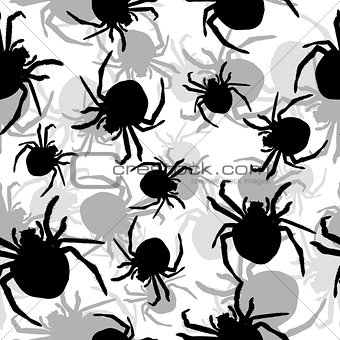 Background with spiders