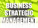 Business Strategic Management