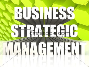 Business Strategic Management