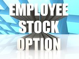 Employee Stock Option