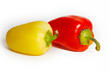 Two color pepper on a white background
