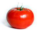 One tomato on a white background