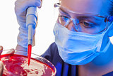 Female Scientist Pipette & Petri Dish In Laboratory 
