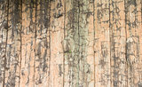 A grunge wooden wall with vignetting and texture