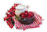 fresh berries and milk