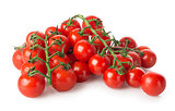 Branches of cherry tomatoes