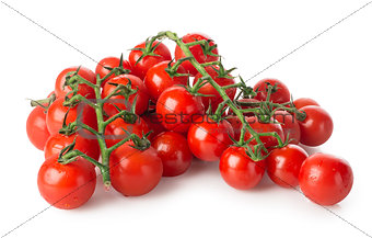 Branches of cherry tomatoes