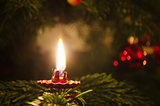 Candle on christmas tree