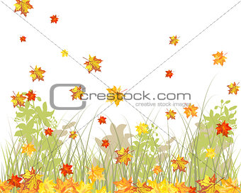 Meadow autumn background