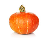 Ripe small pumpkin