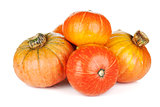 Ripe small pumpkins