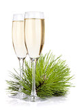 Champagne glasses and firtree