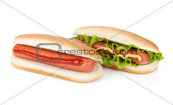 Two hot dogs with various ingredients