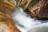 The famous Lower Falls in Yellowstone National Park