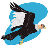 Condor in Flight 
