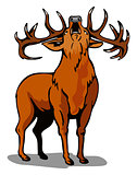 Deer Roaring