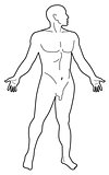Male Human Anatomy Silhouette