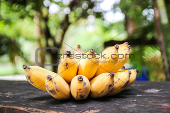 yellow  bananas