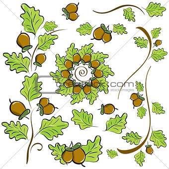 design elements of oak leaves and acorns