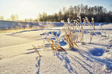 Winter landscape with sun and river