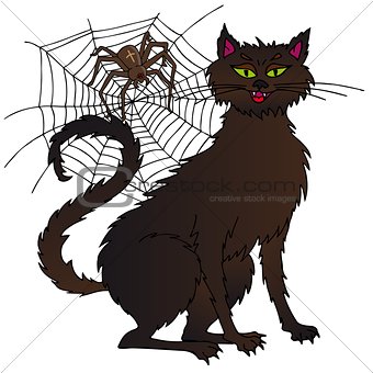 Cat and spider