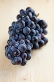 Blue grape cluster