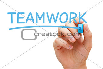 Teamwork Blue Marker