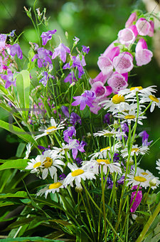 Bouquet of beautiful summer flowers, close-up  