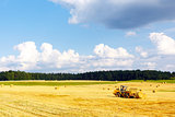 Harvesting in Summer on the field